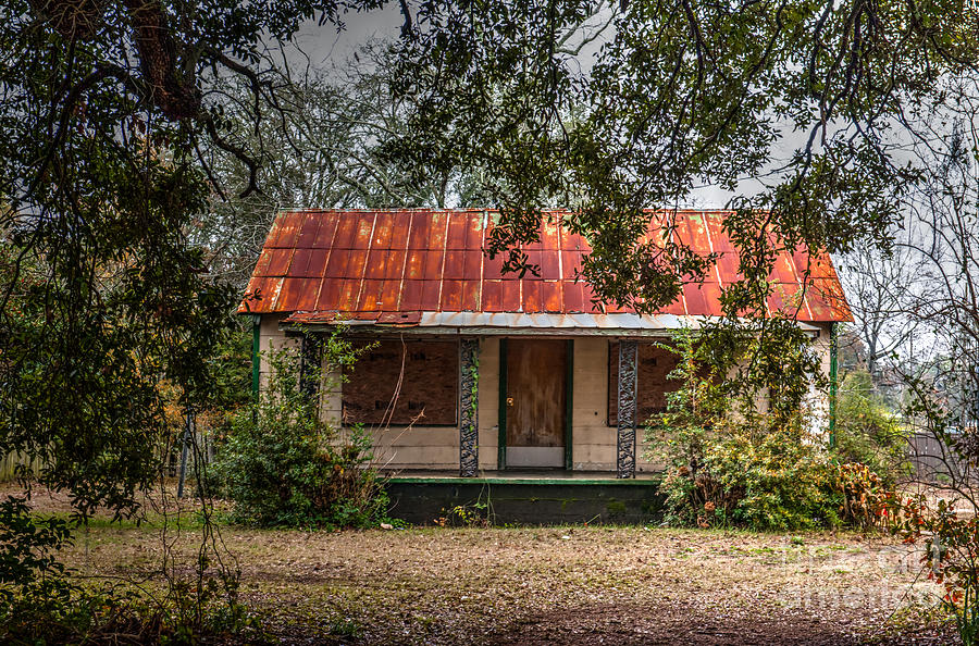 Rusted Red Tin Roof Photograph