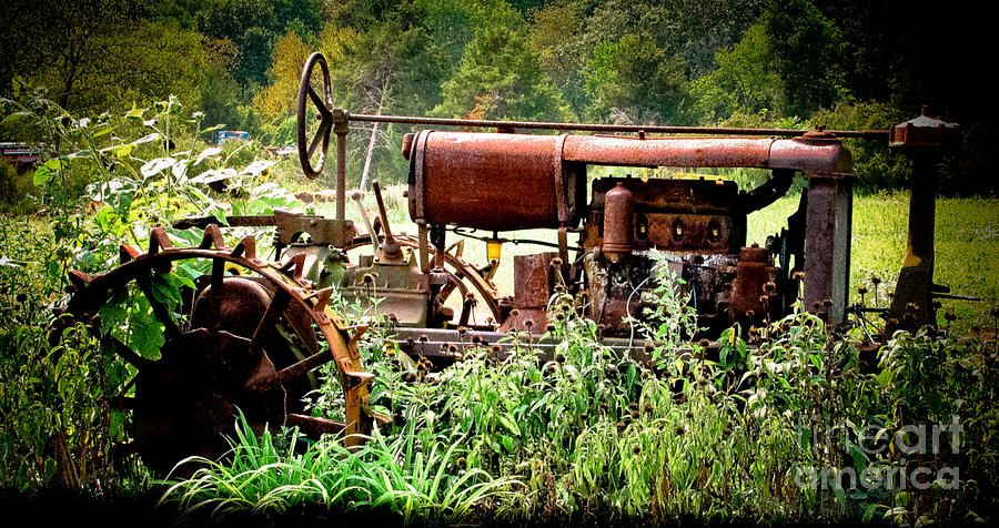 Rusted Red Tractor Photograph by Colleen Kammerer