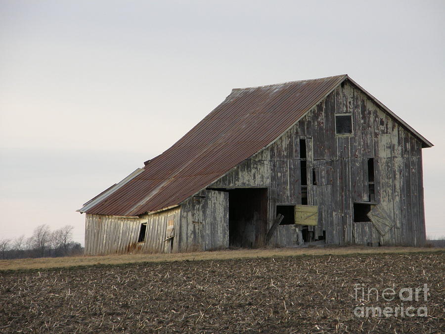 Rusted Roof Photograph by Tom Branson - Fine Art America