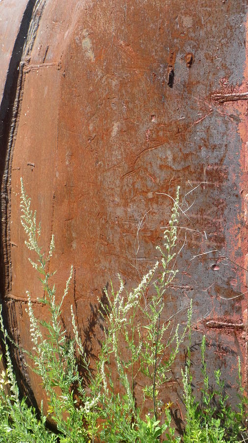 Rusted Tank Close Up Photograph by Anita Burgermeister
