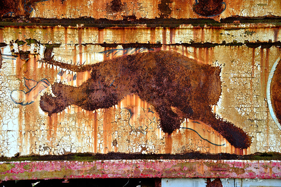 Rusted Tiger Photograph by David Lee Thompson