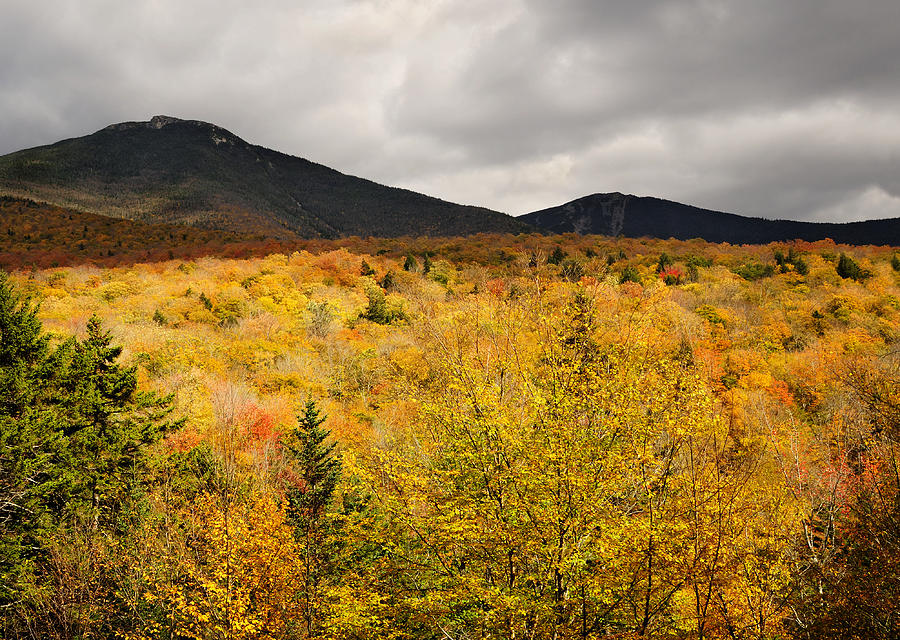 Rustic Autumn at Franconia Notch Photograph by Luke Moore