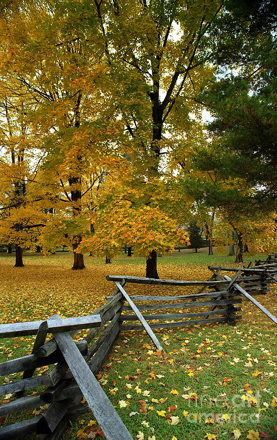 Rustic Autumn Photograph by Skip Willits