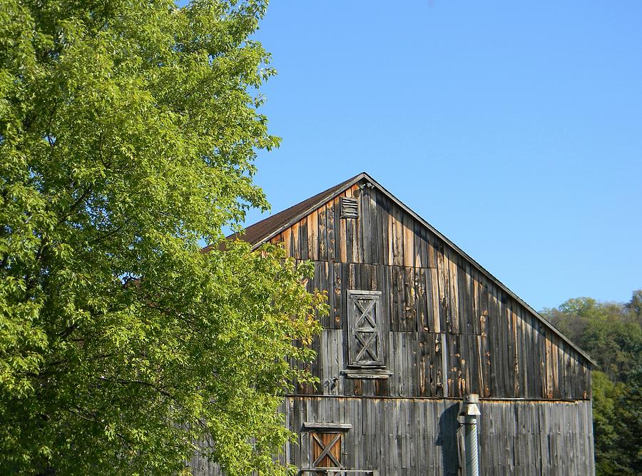 Rustic Barn and Blue Sky Photograph by Jean Goodwin Brooks