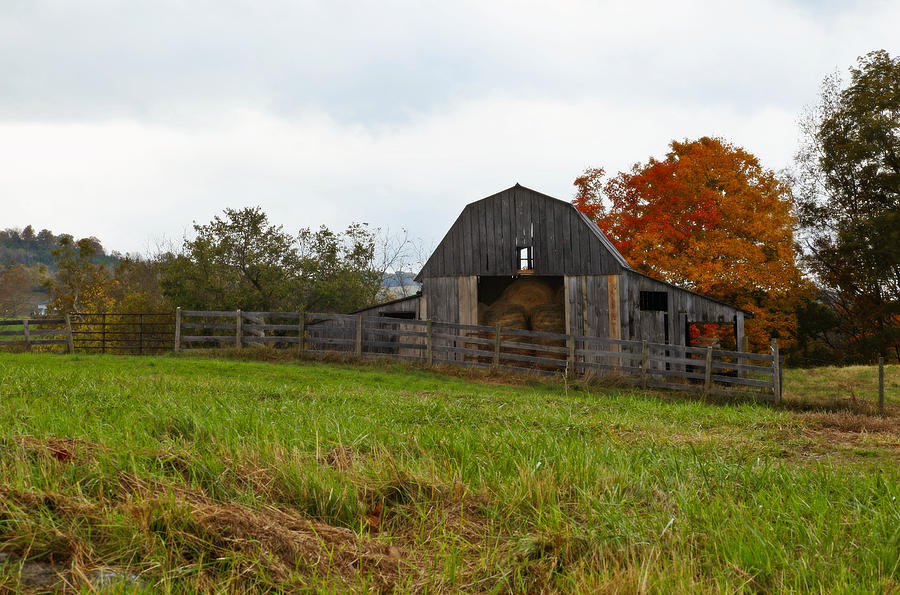 Rustic Barn In Autumn Photograph