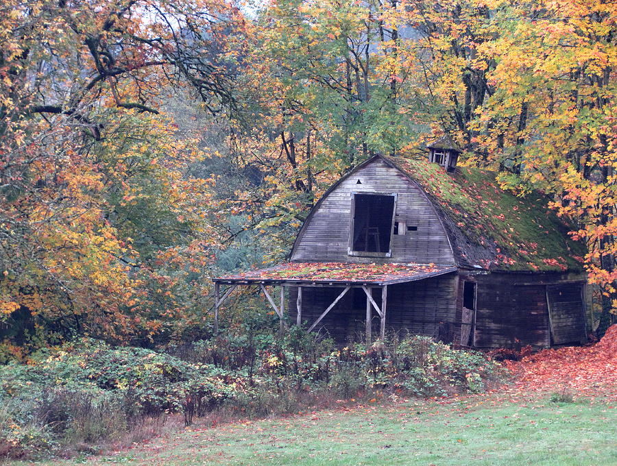 Rustic Barn in Autumn Photograph by Angie Vogel