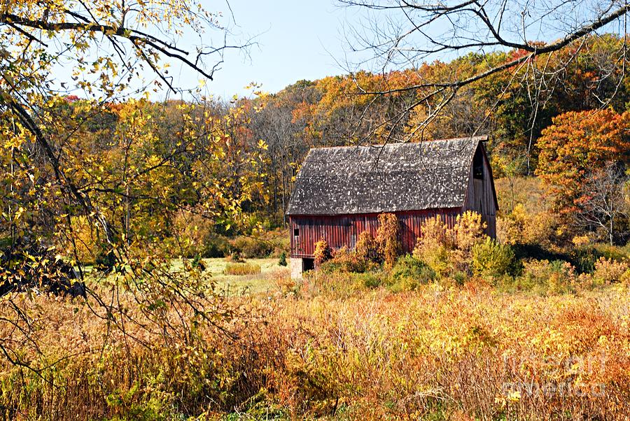 Rustic Barn in Autumn Photograph by Larry Ricker