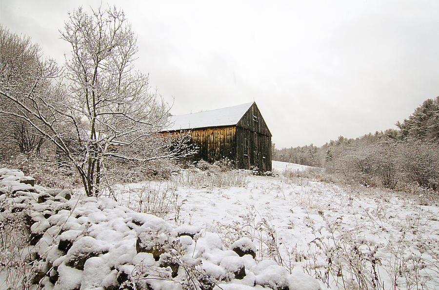 Rustic Barn in Snow Photograph by Donna Doherty