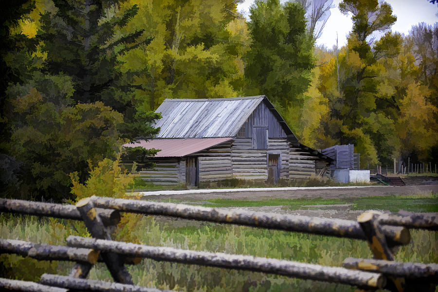 Rustic Barn in the Woods Photograph by Carolyn Fox - Fine Art America