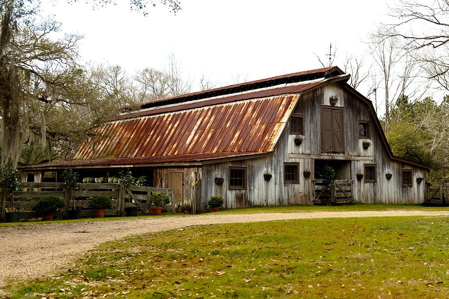 Rustic Barn Photograph By Susie Hoffpauir