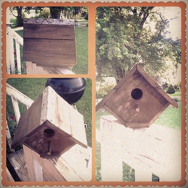 Rustic Bird Houses With Galvanized Photograph by Angala Russo