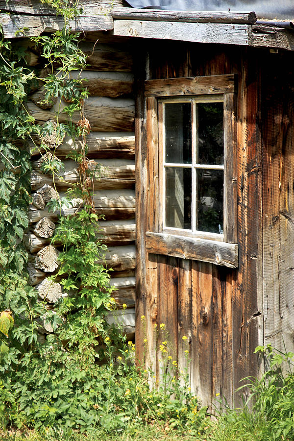 Rustic Cabin Window Photograph by Athena Mckinzie