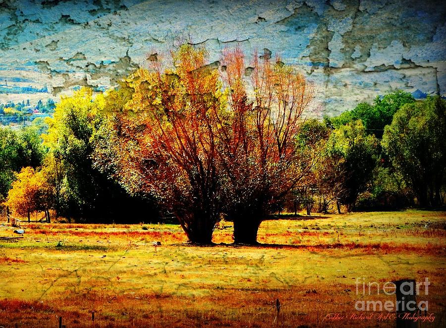Rustic Fallin Rustic Fall Photograph by Bobbee Rickard - Fine Art America