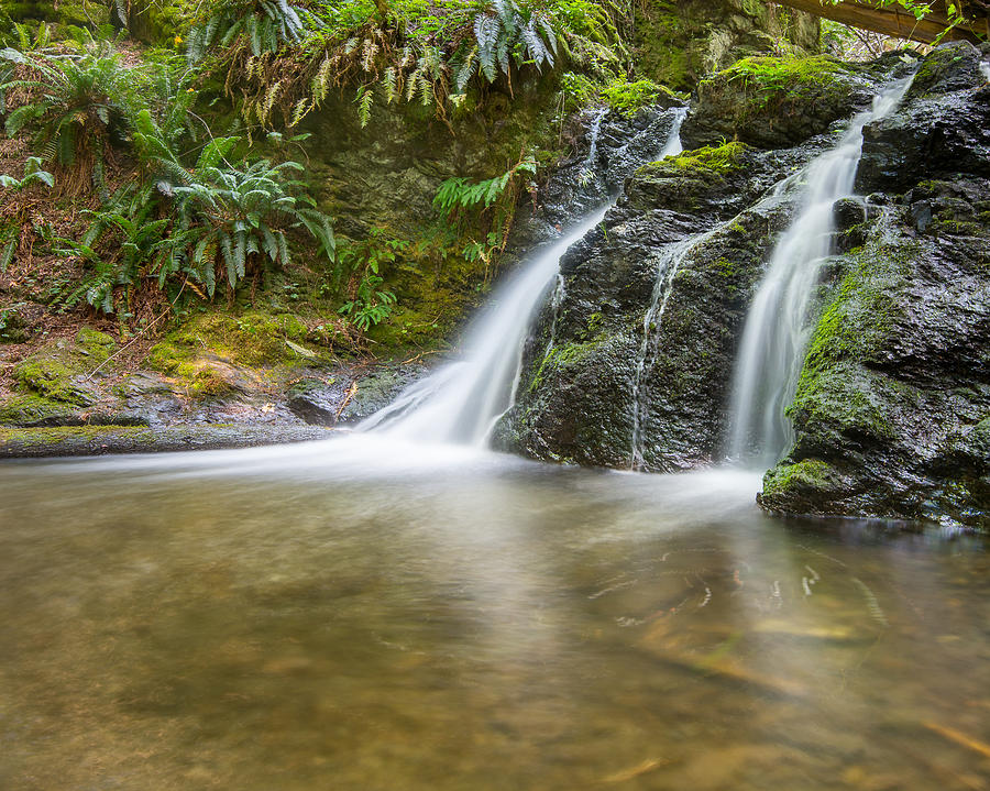 Rustic Falls - Moran State Park Photograph by Steve Lagreca - Fine Art ...