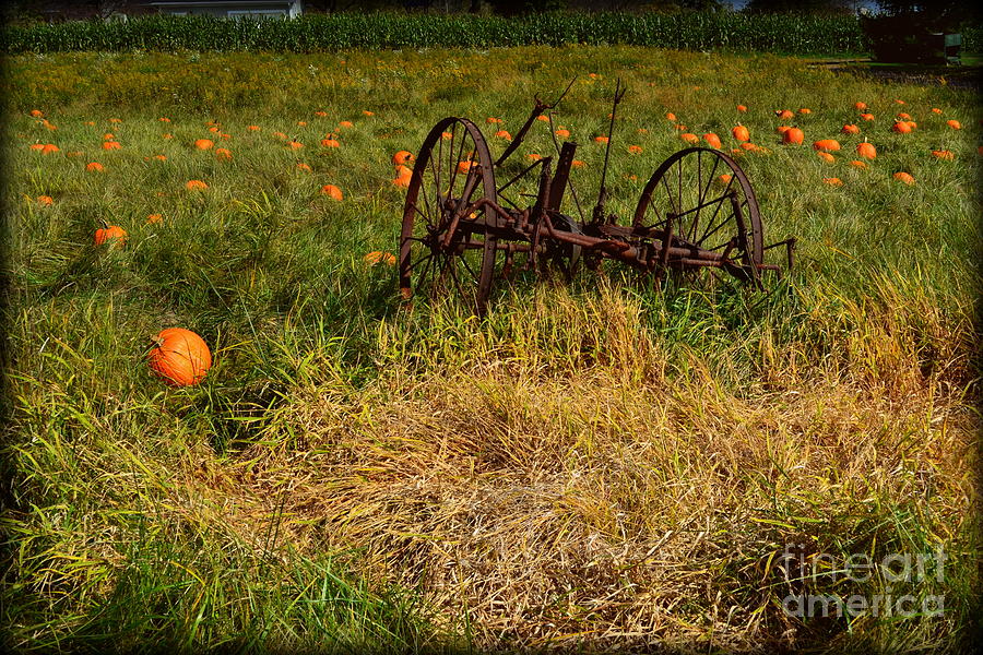 Fall Photograph - Rustic Farm Equipment  by Amy Lucid