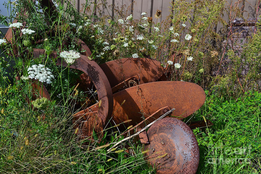 Rustic Farm Equipment Flowers Photograph by Amy Lucid