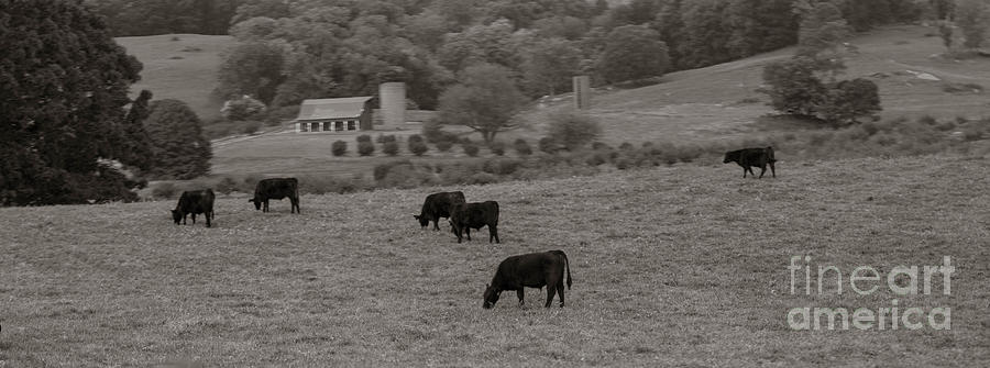 Rustic Farm in Black and White Photograph by Carlee Ojeda