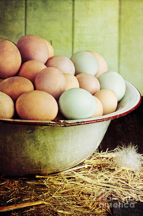 Rustic Farm Raised Eggs Photograph by Stephanie Frey
