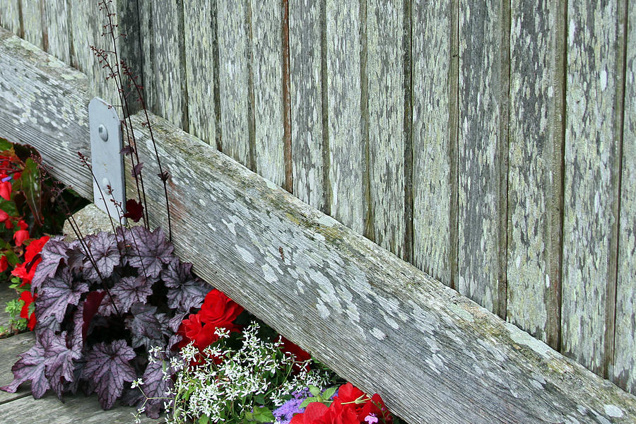 Rustic Fence and flowers Photograph by Jackson Pearson