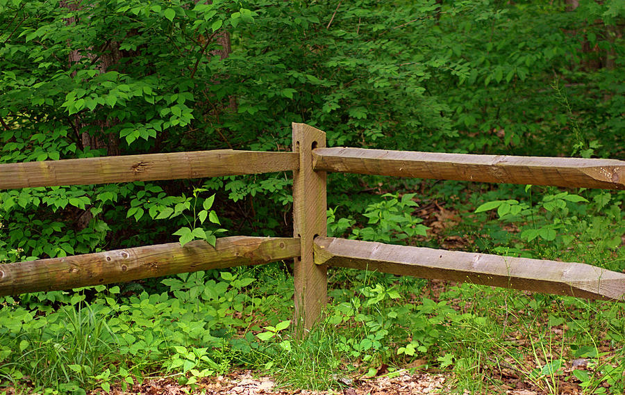 Rustic Fence Photograph by Judy Salcedo