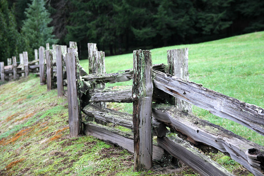 Rustic Fence Photograph by KATIE Vigil
