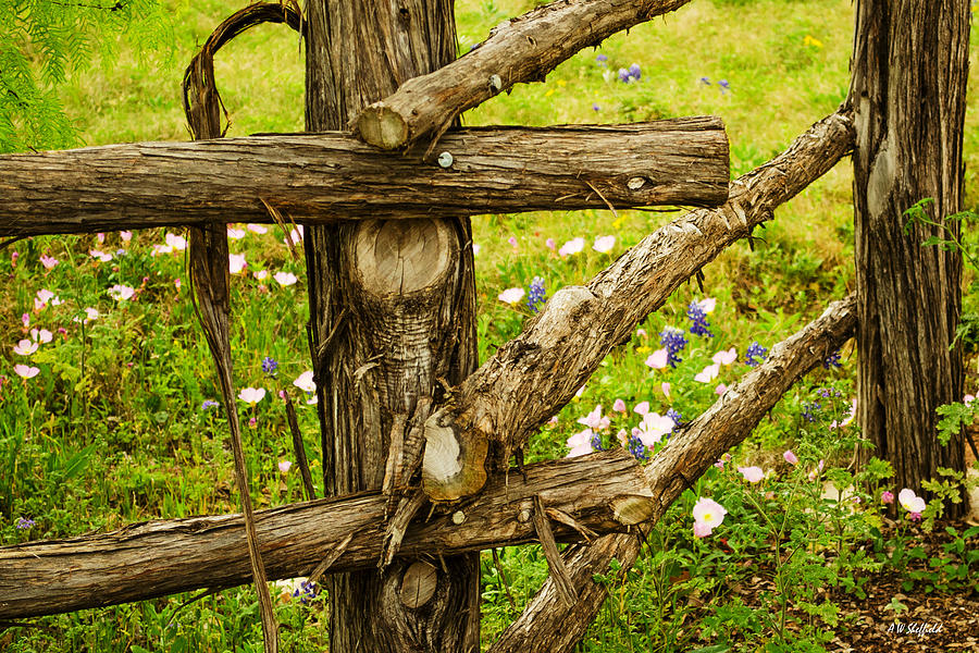 Flower Photograph - Rustic Fence with Wildflowers by Allen Sheffield