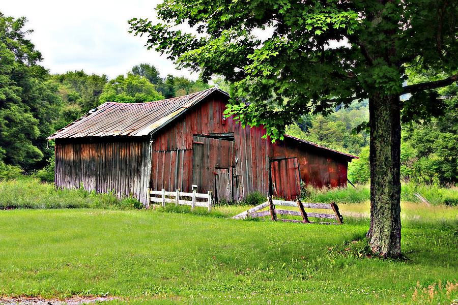 Rustic Fences Photograph by Sherry Dulaney - Fine Art America