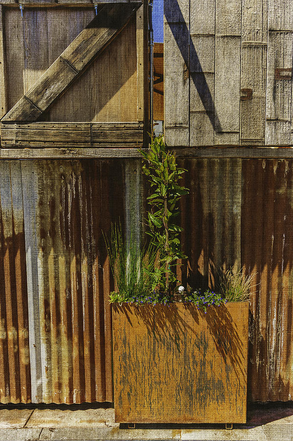 Rustic Flowerbox and Rusty Metal Wall Photograph by Karen Stephenson