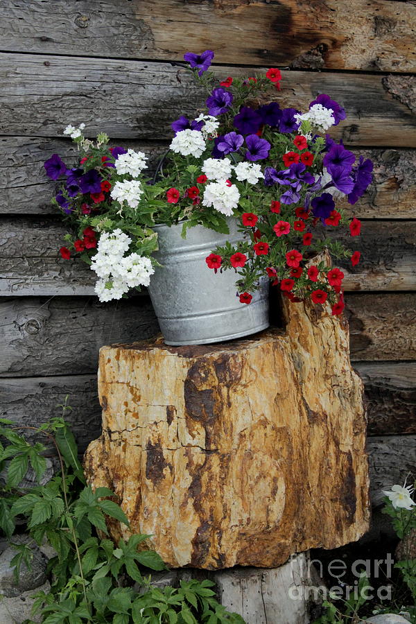 Rustic Flowers Photograph