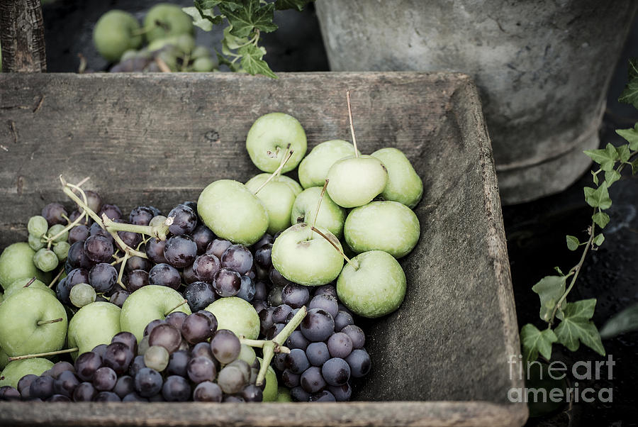 Apple Photograph - Rustic Fruit by Antony McAulay