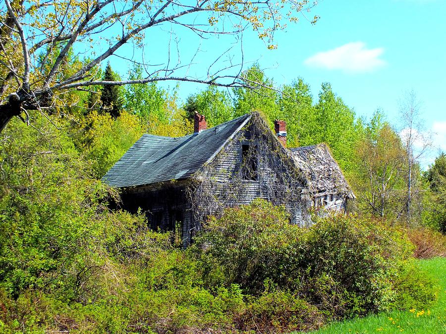 Spring Photograph - Rustic History by Gene Cyr