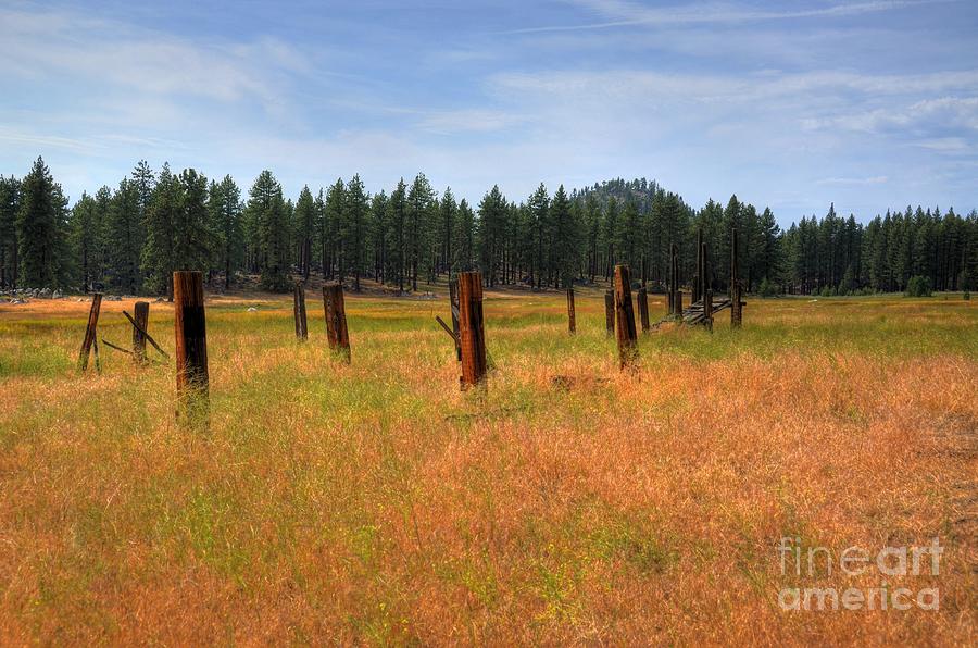 Rustic Lake Tahoe Photograph by Kelly Wade