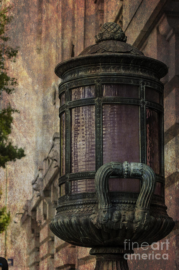 Rustic Lamp Post Photograph by Judy Wolinsky