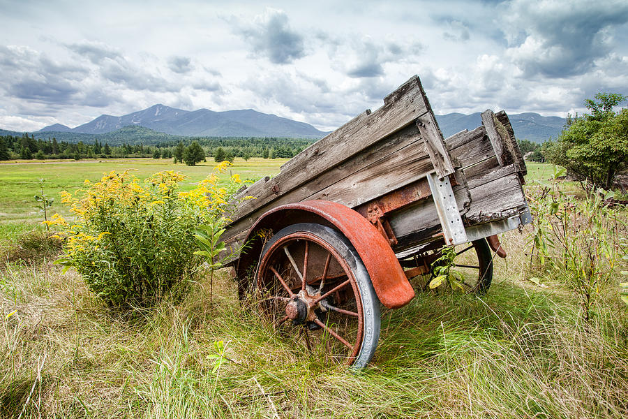 Rustic Landscapes - Wagon and wildflowers Photograph by Gary Heller