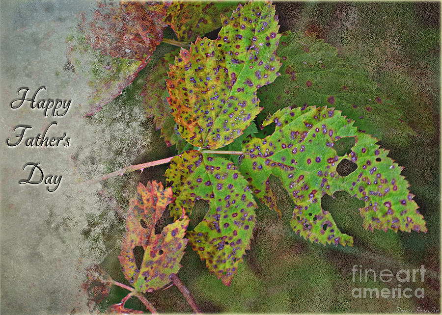 Rustic Leaves Fathers Day card II  Photograph by Debbie Portwood