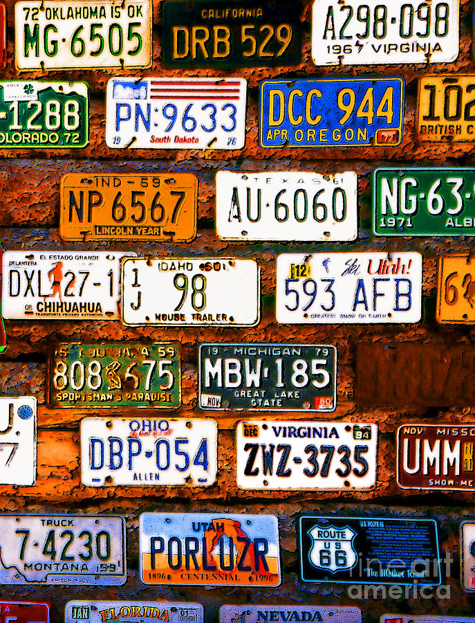 Rustic License Plates - 2 Photograph by Linda Parker