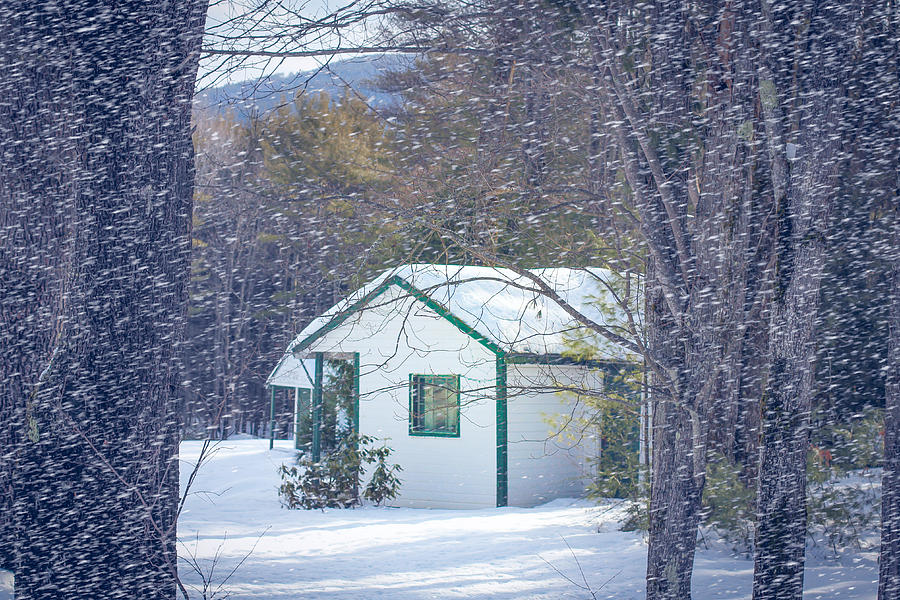 Rustic Maine Cabin Photograph By Elizabeth Thomas