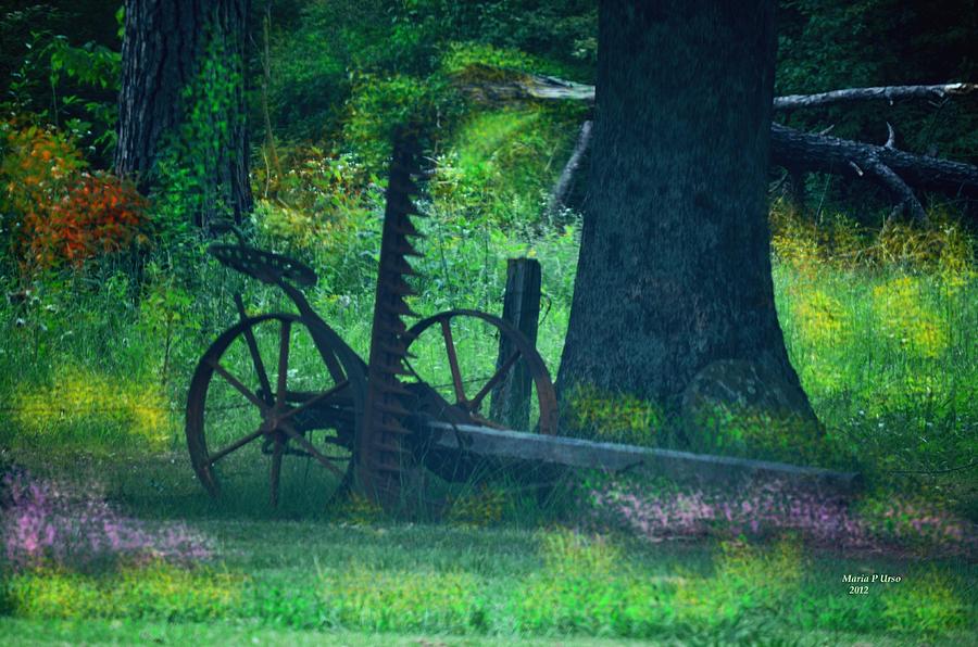 Rustic Digital Art by Maria Urso