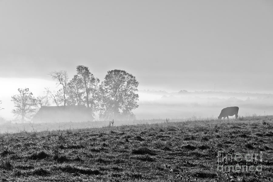 Rustic Morning in Black and White Photograph by Cheryl Baxter