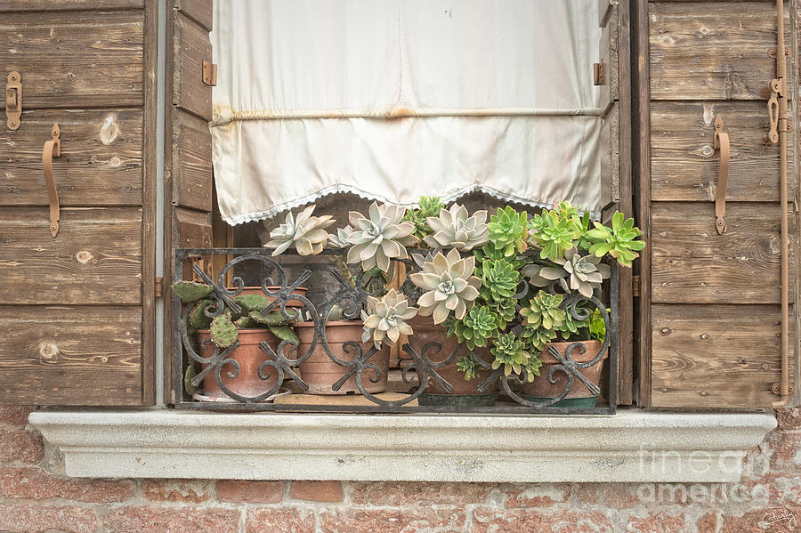 Architecture Photograph - Rustic Murano Window by Prints of Italy