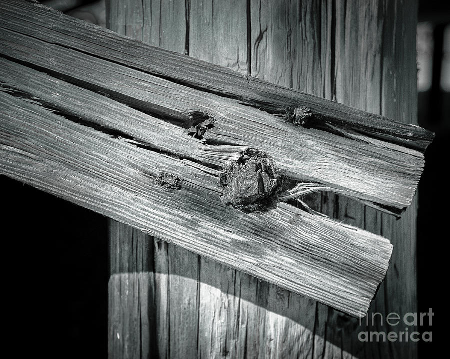 Rustic Ocean Pier Wood Photograph by Perry Webster