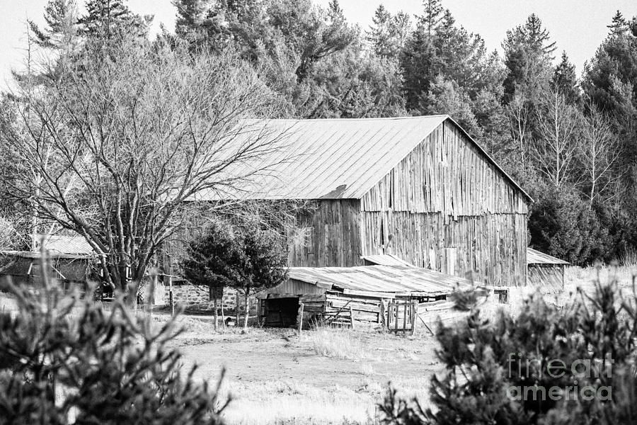 Rustic Old Barn Photograph by Cheryl Baxter