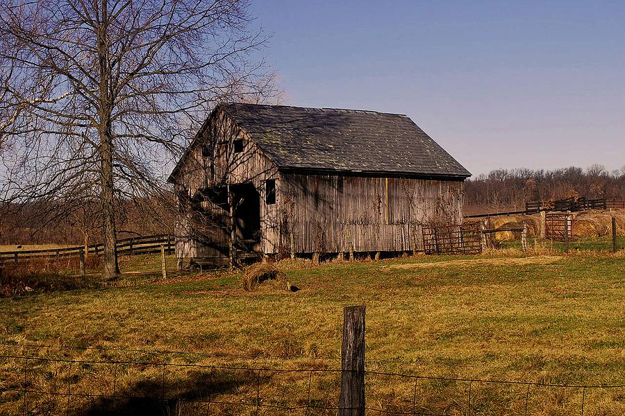 Tree Photograph - Rustic Old Barn by Jim Markiewicz