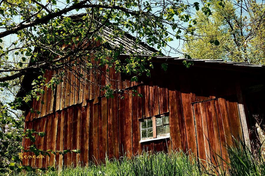 Rustic Old Barn Photograph by A L Sadie Reneau
