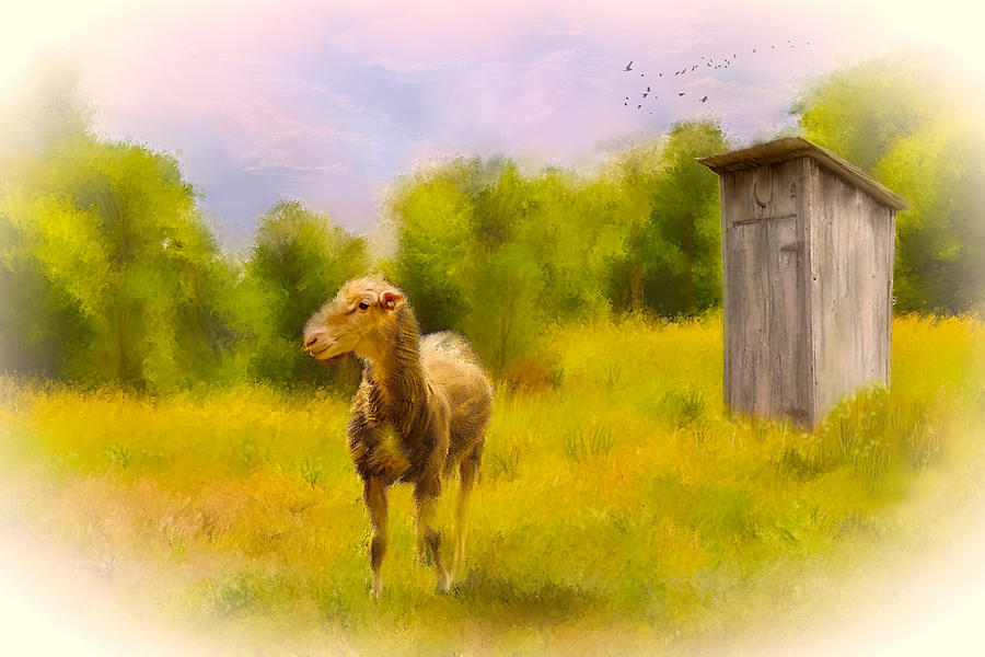 Rustic Pasture Photograph by Mary Timman