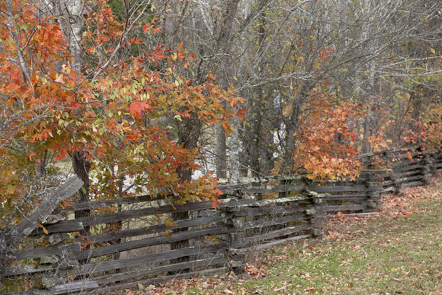 Rustic Rail Fence Photograph by Robert Camp