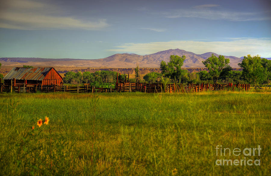 Rustic Ranch Photograph by Kelly Wade