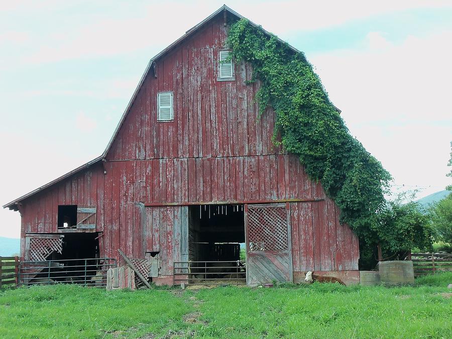 Rustic Red Barn Photograph By Amelia Jean Miller   Rustic Red Barn Amelia Miller 