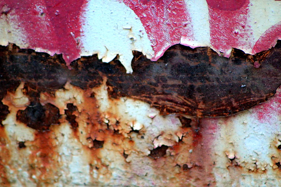 Rustic Scabs Photograph by Deborah  Crew-Johnson