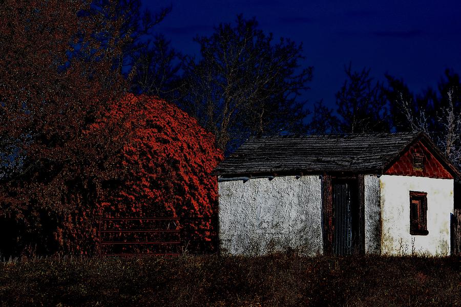 Rustic Shack By The Full Moon Photograph by Deena Stoddard